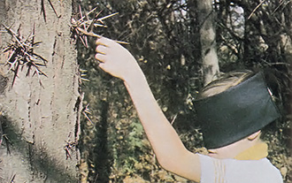 
Many centers sponsor such activities as a blindfold "discovery" walk, in which children can develop a sensory awareness of nature.  
